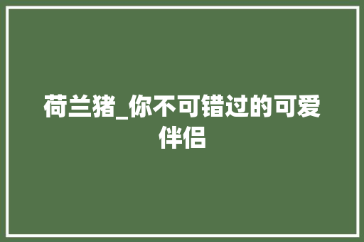 荷兰猪_你不可错过的可爱伴侣