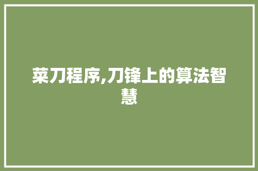 菜刀程序,刀锋上的算法智慧 菜刀程序,刀锋上的算法智慧 百度SEO