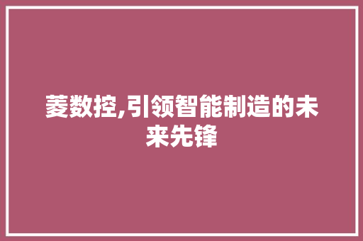 菱数控,引领智能制造的未来先锋 菱数控,引领智能制造的未来先锋 网站建设公司