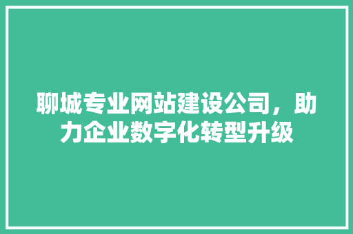 聊城专业网站建设公司，助力企业数字化转型升级