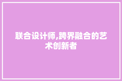 联合设计师,跨界融合的艺术创新者