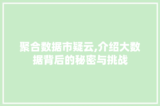 聚合数据市疑云,介绍大数据背后的秘密与挑战