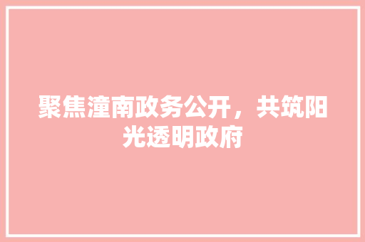 聚焦潼南政务公开，共筑阳光透明政府 聚焦潼南政务公开，共筑阳光透明政府 必应SEO