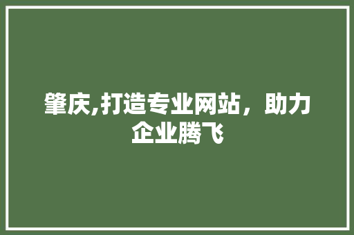 肇庆,打造专业网站，助力企业腾飞 肇庆,打造专业网站，助力企业腾飞 必应SEO