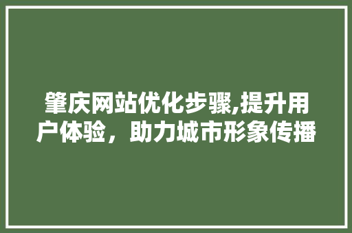 肇庆网站优化步骤,提升用户体验，助力城市形象传播