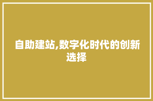 自助建站,数字化时代的创新选择