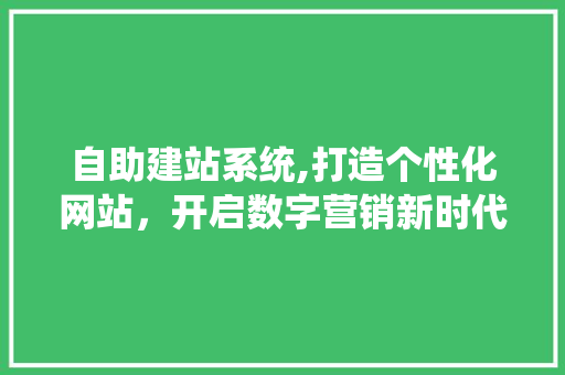 自助建站系统,打造个性化网站，开启数字营销新时代