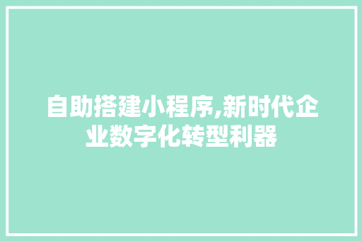 自助搭建小程序,新时代企业数字化转型利器