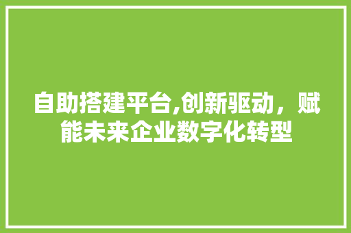 自助搭建平台,创新驱动，赋能未来企业数字化转型