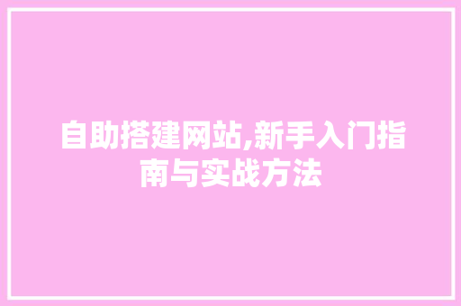 自助搭建网站,新手入门指南与实战方法