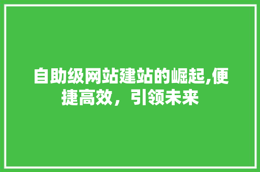 自助级网站建站的崛起,便捷高效，引领未来