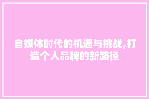 自媒体时代的机遇与挑战,打造个人品牌的新路径