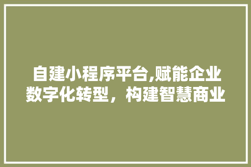 自建小程序平台,赋能企业数字化转型，构建智慧商业生态