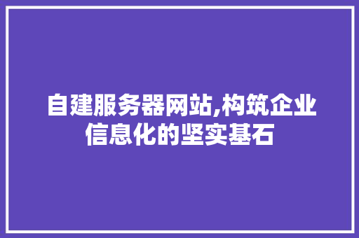 自建服务器网站,构筑企业信息化的坚实基石