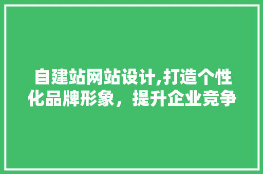 自建站网站设计,打造个性化品牌形象，提升企业竞争力