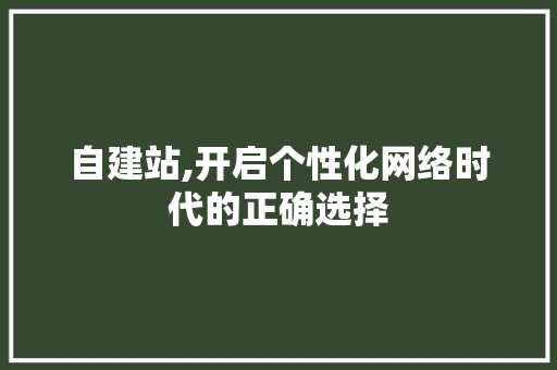 自建站,开启个性化网络时代的正确选择