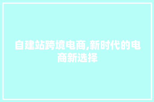 自建站跨境电商,新时代的电商新选择