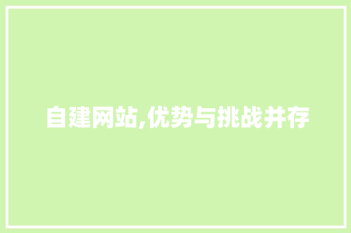 自建网站,优势与挑战并存
