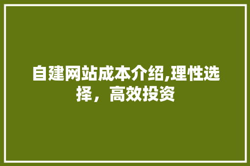 自建网站成本介绍,理性选择，高效投资