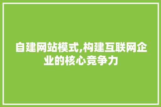 自建网站模式,构建互联网企业的核心竞争力