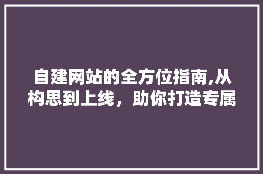 自建网站的全方位指南,从构思到上线，助你打造专属网络空间