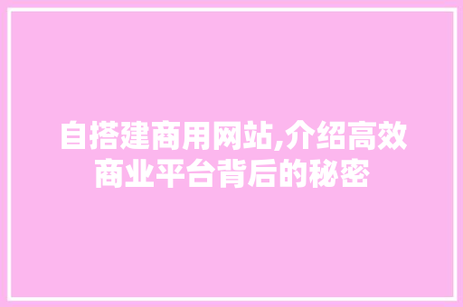 自搭建商用网站,介绍高效商业平台背后的秘密