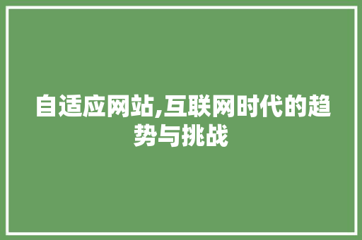 自适应网站,互联网时代的趋势与挑战