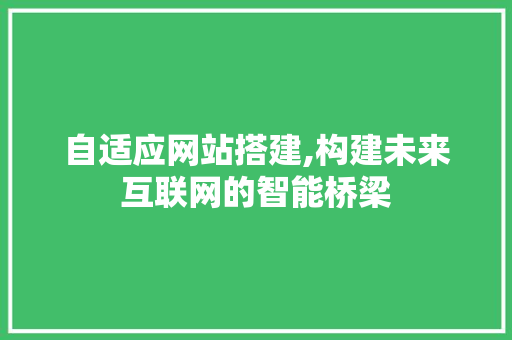 自适应网站搭建,构建未来互联网的智能桥梁 自适应网站搭建,构建未来互联网的智能桥梁 SEO关键词