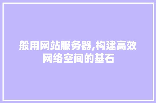 般用网站服务器,构建高效网络空间的基石