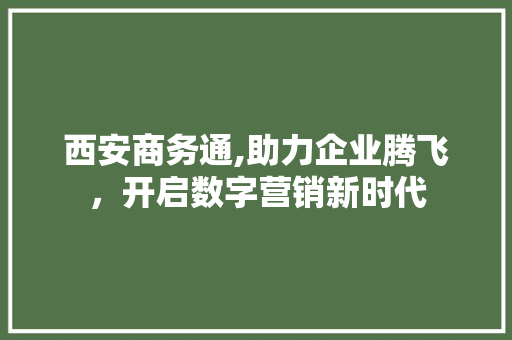 西安商务通,助力企业腾飞，开启数字营销新时代 西安商务通,助力企业腾飞，开启数字营销新时代 SEO关键词