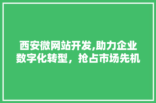 西安微网站开发,助力企业数字化转型，抢占市场先机 西安微网站开发,助力企业数字化转型，抢占市场先机 必应SEO