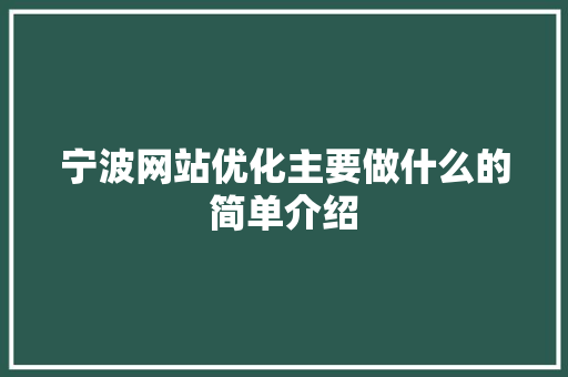 宁波网站优化主要做什么的简单介绍 宁波网站优化主要做什么的简单介绍 必应SEO