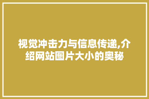 视觉冲击力与信息传递,介绍网站图片大小的奥秘