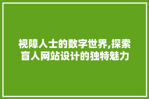视障人士的数字世界,探索盲人网站设计的独特魅力