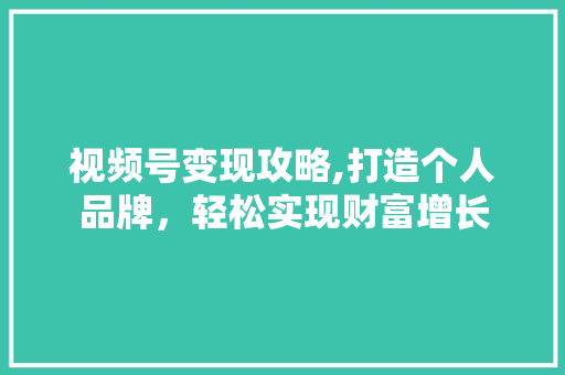 视频号变现攻略,打造个人品牌，轻松实现财富增长