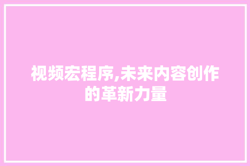 视频宏程序,未来内容创作的革新力量