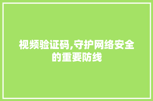 视频验证码,守护网络安全的重要防线