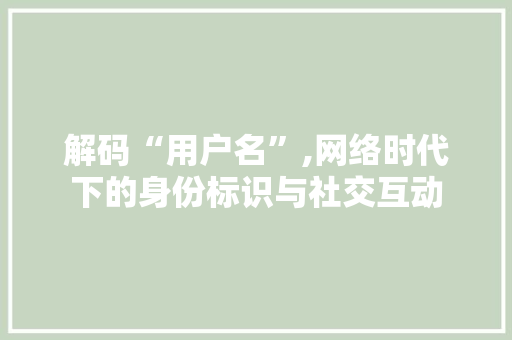 解码“用户名”,网络时代下的身份标识与社交互动 解码“用户名”,网络时代下的身份标识与社交互动 网站建设公司