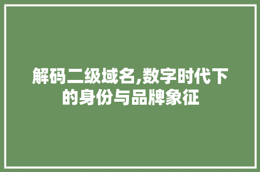 解码二级域名,数字时代下的身份与品牌象征