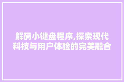 解码小键盘程序,探索现代科技与用户体验的完美融合
