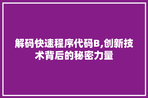 解码快速程序代码B,创新技术背后的秘密力量