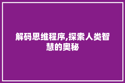 解码思维程序,探索人类智慧的奥秘