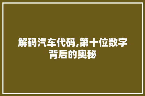 解码汽车代码,第十位数字背后的奥秘