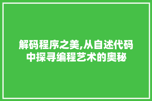解码程序之美,从自述代码中探寻编程艺术的奥秘