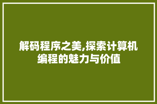 解码程序之美,探索计算机编程的魅力与价值
