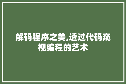 解码程序之美,透过代码窥视编程的艺术