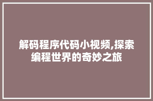 解码程序代码小视频,探索编程世界的奇妙之旅