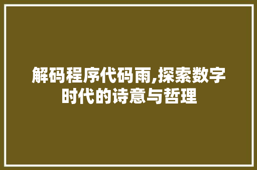 解码程序代码雨,探索数字时代的诗意与哲理