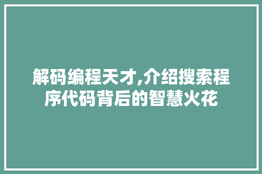 解码编程天才,介绍搜索程序代码背后的智慧火花