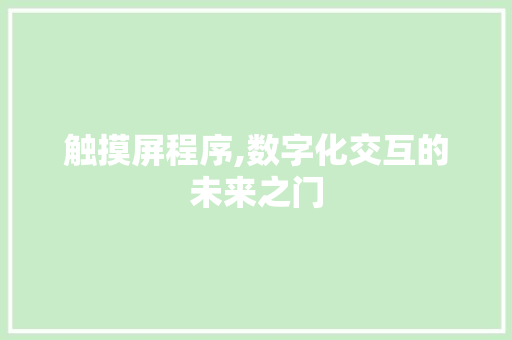 触摸屏程序,数字化交互的未来之门